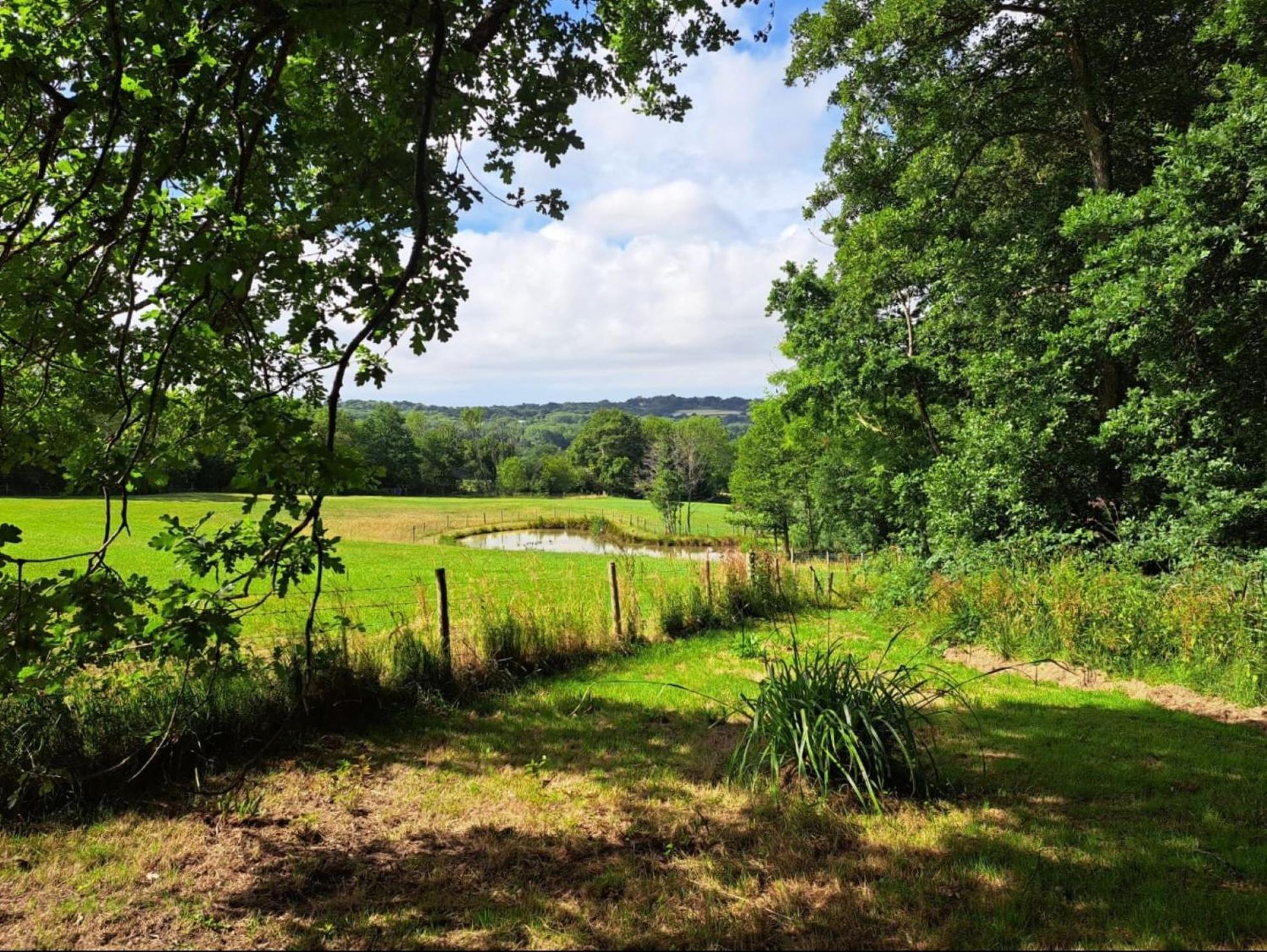 Charming Tranquil Shepherds Hut With Lakeside Balcony 'Roach' Uckfield Exterior photo